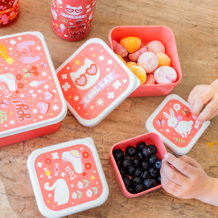 Lunch & Snackbox Fun Little Lovely para Niños