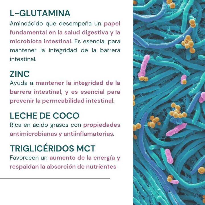Probiotax Microbiota Sabor Coco – 150 g