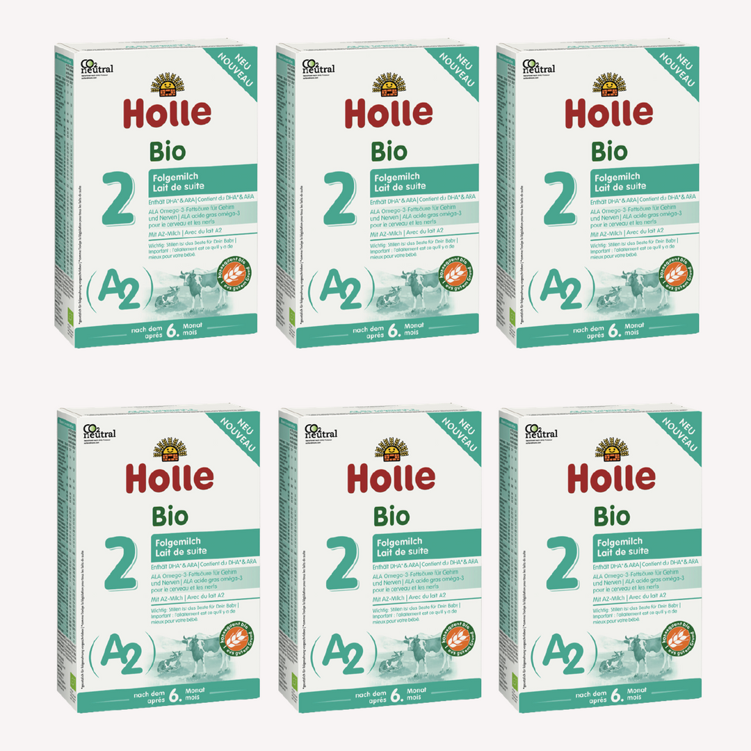 Pack 6 Leche De Continuacion A2 Ecológica 2 Holle