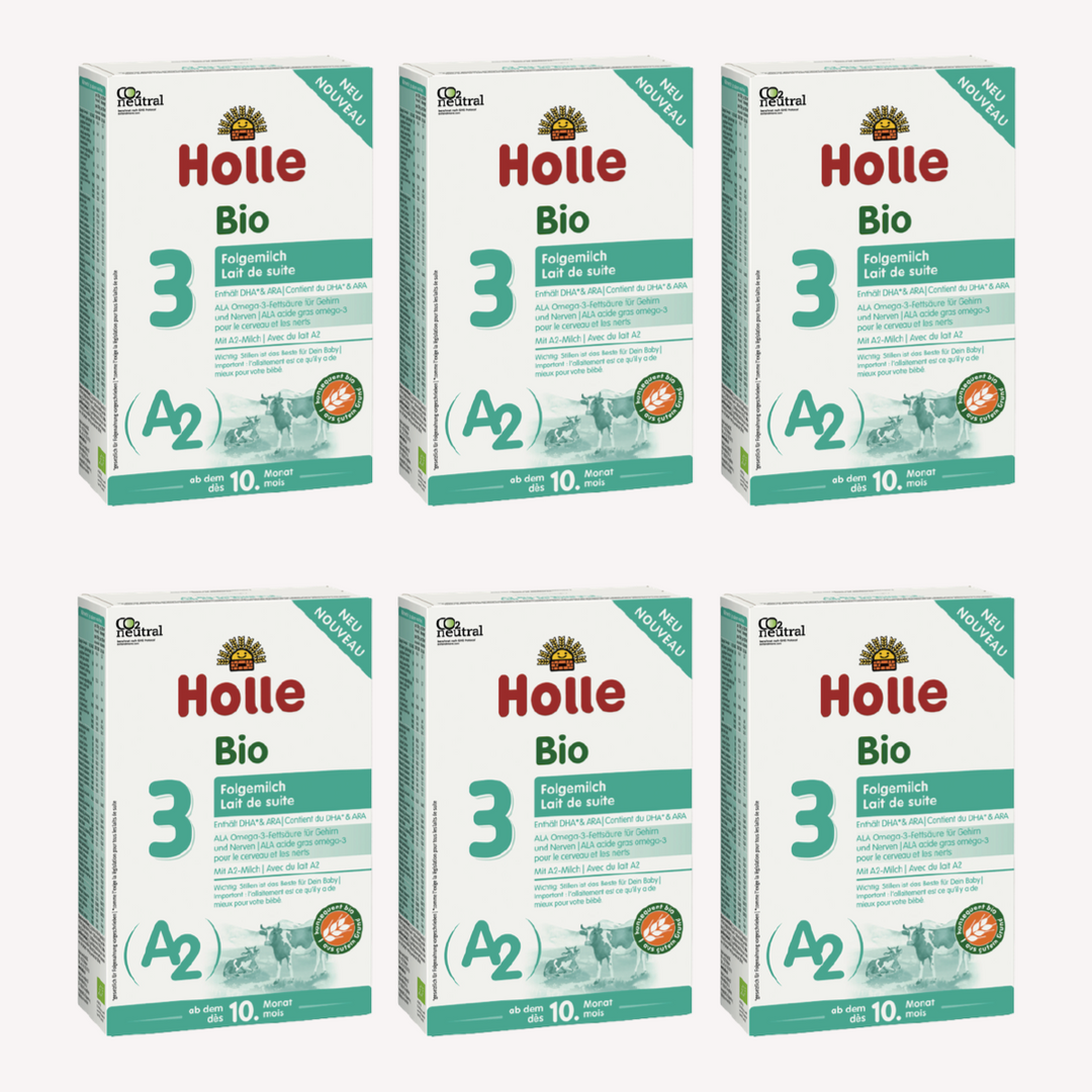 Pack 6 Leche De Continuacion A2 Ecológica 3 Holle